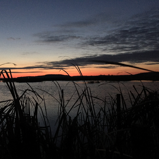 Oklahoma Duck Hunting Season | Best Duck Hunting Guides in Oklahoma