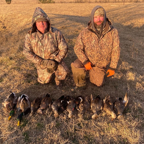 Oklahoma Duck Hunting Regulations